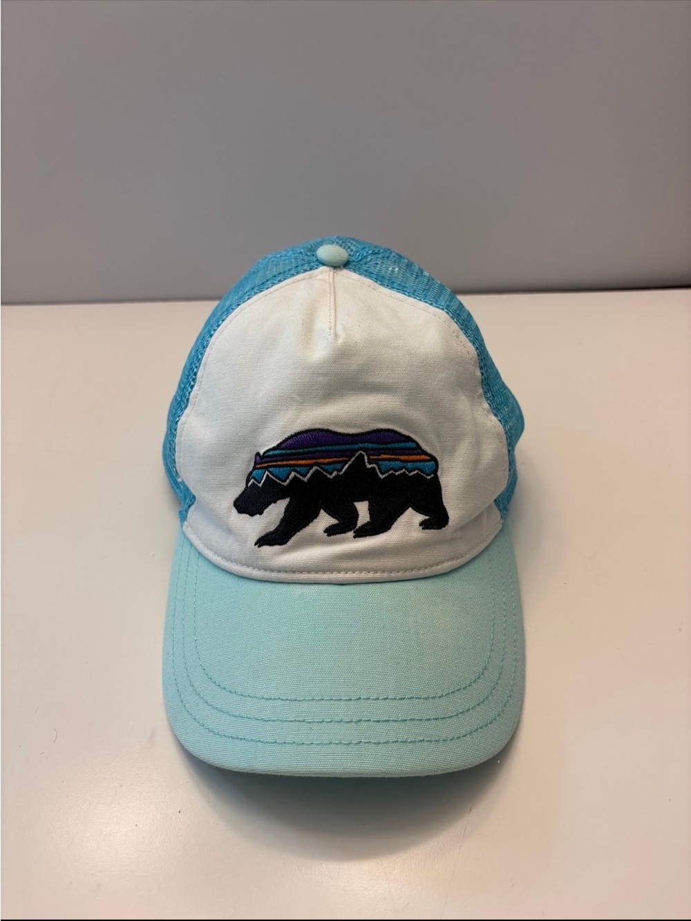 Patagonia Fitz Roy Bear Trucker hat in a light teal and white colorway